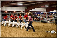 LCF13-2871.jpg