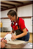 LCF13-2879.jpg
