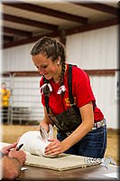 LCF13-2883.jpg