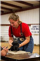 LCF13-2900.jpg