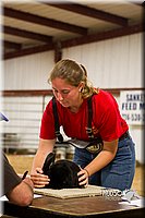 LCF13-2901.jpg