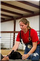 LCF13-2902.jpg