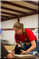 LCF13-2903.jpg