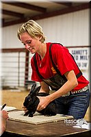 LCF13-2905.jpg