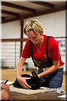 LCF13-2907.jpg