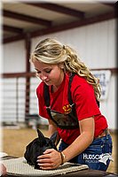 LCF13-2912.jpg