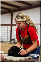 LCF13-2913.jpg