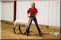 LCF13-2917.jpg