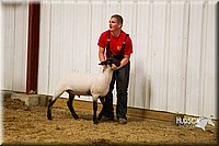 LCF13-2918.jpg