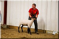 LCF13-2919.jpg