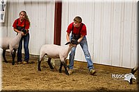 LCF13-2920.jpg