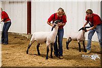 LCF13-2922.jpg