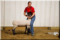 LCF13-2923.jpg