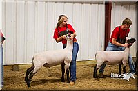 LCF13-2925.jpg
