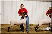 LCF13-2926.jpg