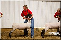 LCF13-2927.jpg