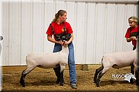 LCF13-2928.jpg