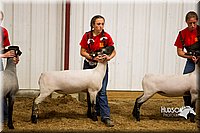LCF13-2929.jpg