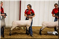 LCF13-2930.jpg