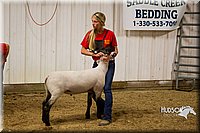 LCF13-2931.jpg
