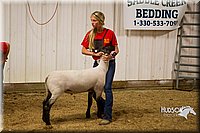 LCF13-2932.jpg