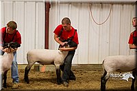 LCF13-2933.jpg