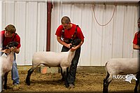 LCF13-2934.jpg