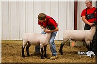 LCF13-2935.jpg