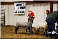 LCF13-2936.jpg