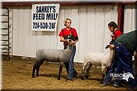 LCF13-2937.jpg