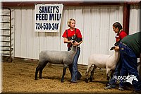 LCF13-2938.jpg