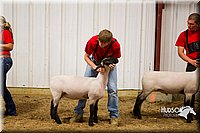 LCF13-2940.jpg