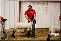 LCF13-2941.jpg