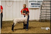 LCF13-2942.jpg