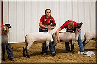 LCF13-2943.jpg