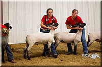 LCF13-2944.jpg