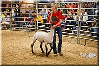 LCF13-2945.jpg