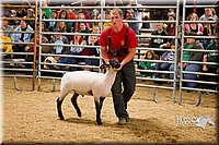 LCF13-2947.jpg
