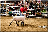 LCF13-2948.jpg