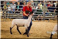 LCF13-2949.jpg