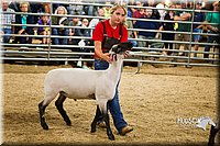 LCF13-2950.jpg