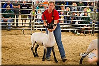 LCF13-2951.jpg