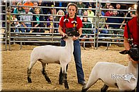 LCF13-2952.jpg