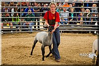 LCF13-2953.jpg