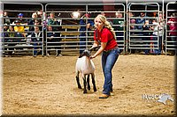 LCF13-2954.jpg