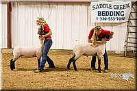 LCF13-2957.jpg