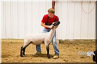 LCF13-2960.jpg