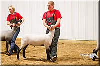 LCF13-2961.jpg