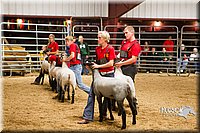 LCF13-2963.jpg