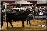 LCF13-2965.jpg